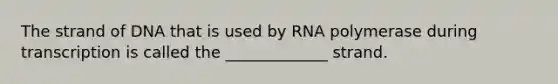 The strand of DNA that is used by RNA polymerase during transcription is called the _____________ strand.