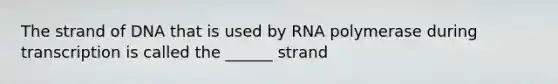 The strand of DNA that is used by RNA polymerase during transcription is called the ______ strand