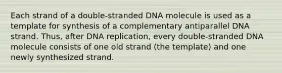 Each strand of a double-stranded DNA molecule is used as a template for synthesis of a complementary antiparallel DNA strand. Thus, after DNA replication, every double-stranded DNA molecule consists of one old strand (the template) and one newly synthesized strand.