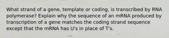 What strand of a gene, template or coding, is transcribed by RNA polymerase? Explain why the sequence of an mRNA produced by transcription of a gene matches the coding strand sequence except that the mRNA has U's in place of T's.