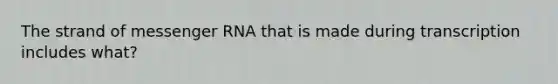 The strand of messenger RNA that is made during transcription includes what?