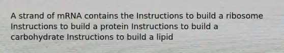 A strand of mRNA contains the Instructions to build a ribosome Instructions to build a protein Instructions to build a carbohydrate Instructions to build a lipid