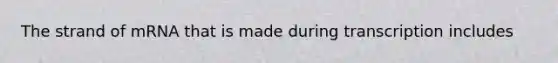 The strand of mRNA that is made during transcription includes