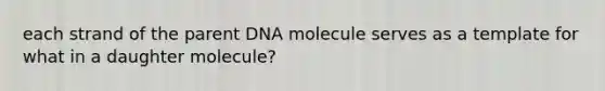 each strand of the parent DNA molecule serves as a template for what in a daughter molecule?