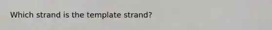 Which strand is the template strand?