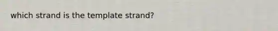 which strand is the template strand?