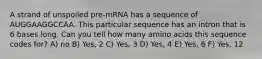 A strand of unspoiled pre-mRNA has a sequence of AUGGAAGGCCAA. This particular sequence has an intron that is 6 bases long. Can you tell how many amino acids this sequence codes for? A) no B) Yes, 2 C) Yes, 3 D) Yes, 4 E) Yes, 6 F) Yes, 12