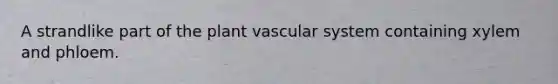 A strandlike part of the plant vascular system containing xylem and phloem.