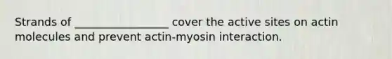 Strands of _________________ cover the active sites on actin molecules and prevent actin-myosin interaction.