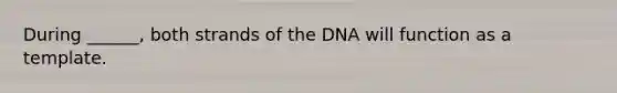 During ______, both strands of the DNA will function as a template.