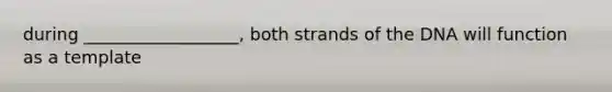 during __________________, both strands of the DNA will function as a template