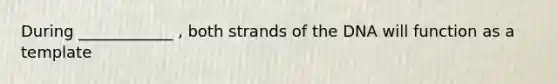 During ____________ , both strands of the DNA will function as a template