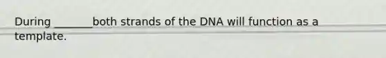 During _______both strands of the DNA will function as a template.