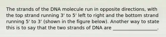 The strands of the DNA molecule run in opposite directions, with the top strand running 3' to 5' left to right and the bottom strand running 5' to 3' (shown in the figure below). Another way to state this is to say that the two strands of DNA are ___________________.