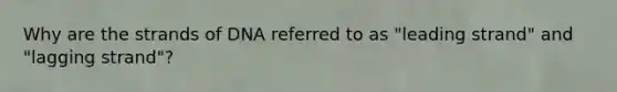 Why are the strands of DNA referred to as "leading strand" and "lagging strand"?