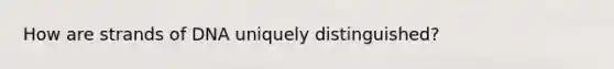 How are strands of DNA uniquely distinguished?