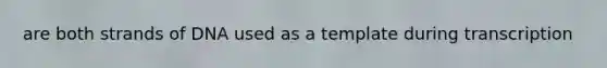 are both strands of DNA used as a template during transcription