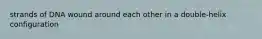 strands of DNA wound around each other in a double-helix configuration