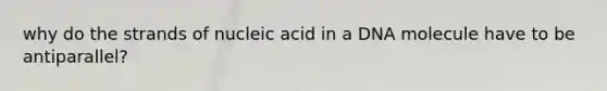 why do the strands of nucleic acid in a DNA molecule have to be antiparallel?