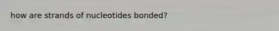 how are strands of nucleotides bonded?