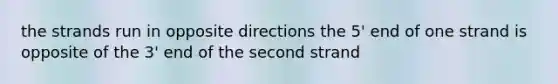 the strands run in opposite directions the 5' end of one strand is opposite of the 3' end of the second strand