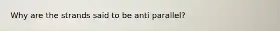 Why are the strands said to be anti parallel?