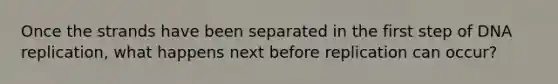 Once the strands have been separated in the first step of <a href='https://www.questionai.com/knowledge/kofV2VQU2J-dna-replication' class='anchor-knowledge'>dna replication</a>, what happens next before replication can occur?