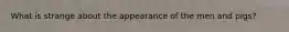 What is strange about the appearance of the men and pigs?