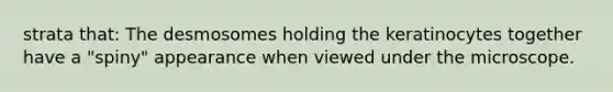 strata that: The desmosomes holding the keratinocytes together have a "spiny" appearance when viewed under the microscope.