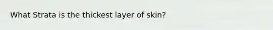 What Strata is the thickest layer of skin?