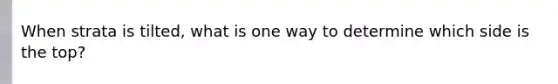 When strata is tilted, what is one way to determine which side is the top?