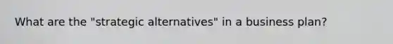 What are the "strategic alternatives" in a business plan?