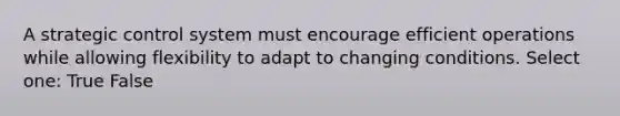 A strategic control system must encourage efficient operations while allowing flexibility to adapt to changing conditions. Select one: True False