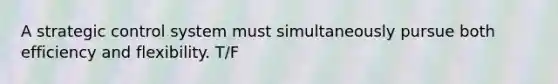 A strategic control system must simultaneously pursue both efficiency and flexibility. T/F