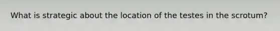 What is strategic about the location of the testes in the scrotum?