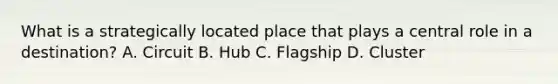 What is a strategically located place that plays a central role in a destination? A. Circuit B. Hub C. Flagship D. Cluster