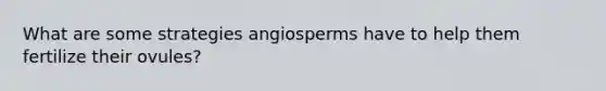 What are some strategies angiosperms have to help them fertilize their ovules?