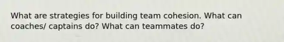 What are strategies for building team cohesion. What can coaches/ captains do? What can teammates do?