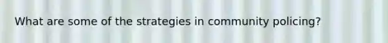 What are some of the strategies in community policing?