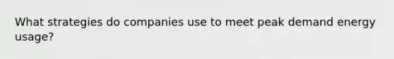 What strategies do companies use to meet peak demand energy usage?