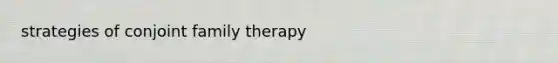 strategies of conjoint <a href='https://www.questionai.com/knowledge/kTFSmi6TX8-family-therapy' class='anchor-knowledge'>family therapy</a>