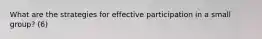 What are the strategies for effective participation in a small group? (6)