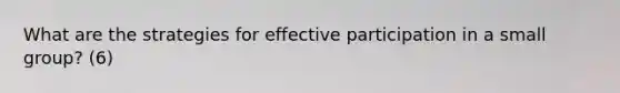 What are the strategies for effective participation in a small group? (6)