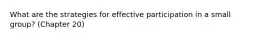 What are the strategies for effective participation in a small group? (Chapter 20)