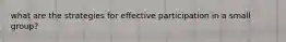 what are the strategies for effective participation in a small group?