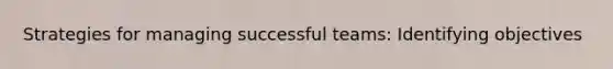 Strategies for managing successful teams: Identifying objectives