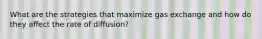 What are the strategies that maximize gas exchange and how do they affect the rate of diffusion?