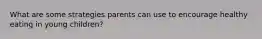 What are some strategies parents can use to encourage healthy eating in young children?