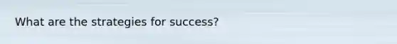 What are the strategies for success?