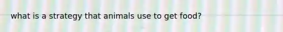 what is a strategy that animals use to get food?